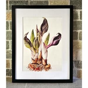 Papaya Art - 11x14 “Victorian Bird” by Anahata Joy Katkin - Wall Art Board